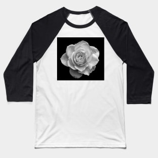 White Rose in Black and White Baseball T-Shirt